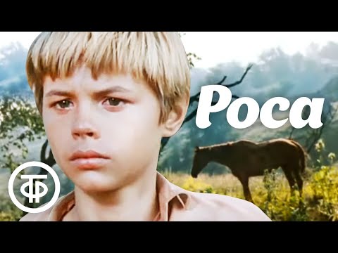 Видео: Роса (1975)