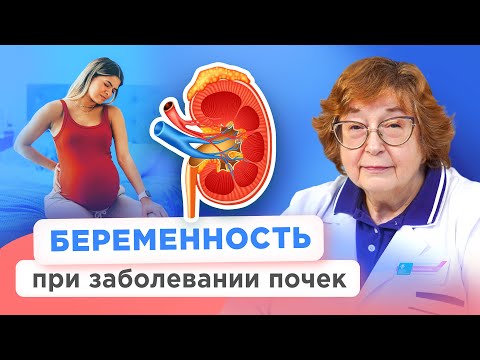 Видео: Кому нужно проверить почки во время беременности? Большое интервью с врачом-нефрологом 
