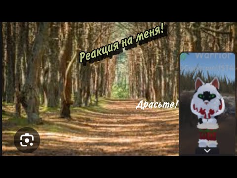 Видео: РЕАКЦИЯ НА МЕНЯ?! Мое старое видео? #warriorcatsultimateedition