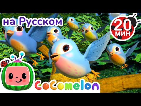 Видео: Пять маленьких птичек🐦🐦 | Новая Серия✨ | CoComelon на русском — Детские песенки