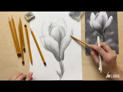 Видео: Выразительный цветок карандашом для начинающих