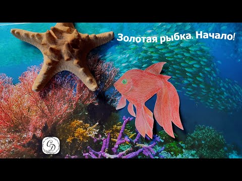 Видео: Золотая рыбка.  Начало!