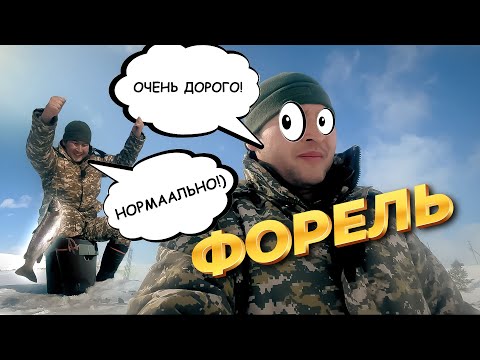 Видео: Зимняя Рыбалка на Форель, Каменный карьер, г. Степногорск #рыбанутый.kz