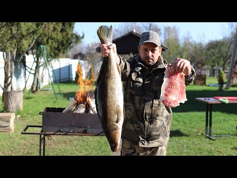 Видео: ШАШЛЫК ИЗ СУДАКА В БЕКОНЕ
