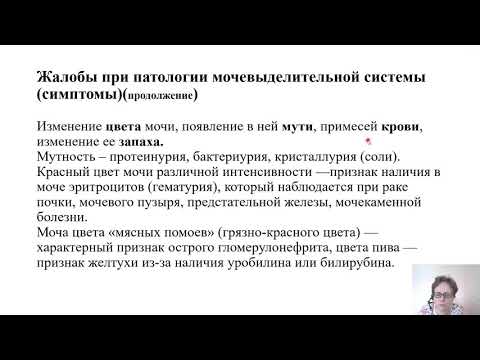 Видео: Пропедевтика внутренних болезней. Методы исследования мочевыделительной системы