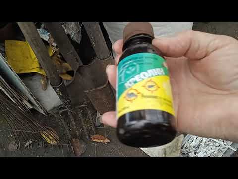 Видео: УКЛАДЫВАЮ  САЖЕНЦЫ  НА  ЗИМОВКУ!! 