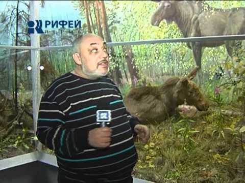 Видео: ДЕЖУРНЫЙ ПО ГОРОДУ (КРАСНОКАМСК)