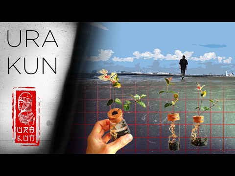 Видео: Япония - влог URA KUN. Прогулка по Японии.