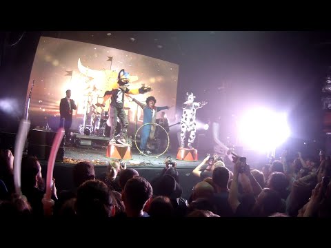 Видео: Б.А.У - LIVE (09.11.2024)