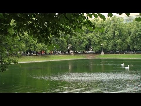Видео: Спиридоновка