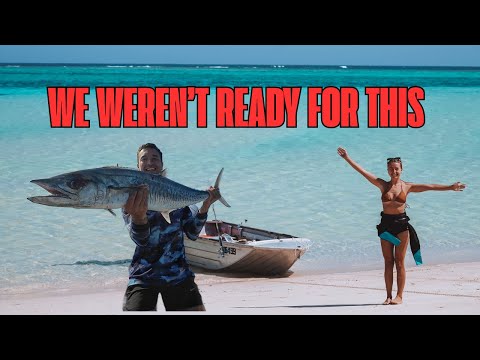 Видео: Акулы, мыши и улов мечты — правда о Нингалу!