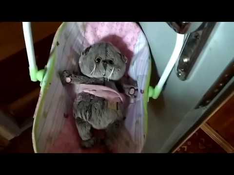 Видео: Влог с басикам едем на дачу, уборка в доме 💚