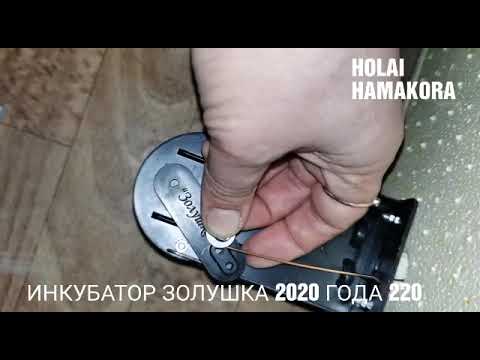 Видео: КАК СОБИРАТЬ ИНКУБАТОР ЗОЛУШКА 2020 ГОДА 220