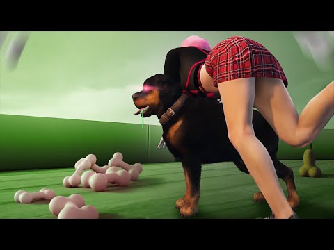 Видео: Собачий кайф 🐶