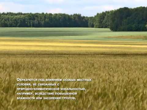 Видео: ПОЧВЫ СТАВРОПОЛЬСКОГО КРАЯ