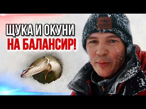 Видео: УДАРИЛА ПО БАЛАНСИРУ ТАК, АДРЕНАЛИН В КРОВЬ, РУКИ ДРОЖАТ, УДОЧКА В ХЛАМ! #рыбалка #щука #окунь