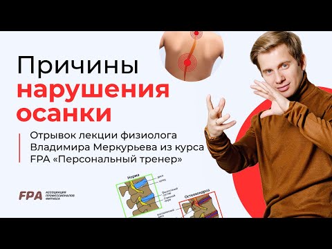 Видео: Причины и степени нарушения осанки | Владимир Меркурьев (FPA)