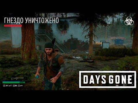 Видео: ЗАЧИСТКА ФРИКОВ Days Gone #4