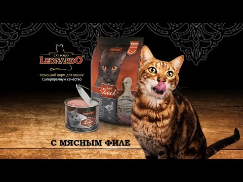 Видео: Немецкий корм для кошек Leonardo | Вебинар 2021