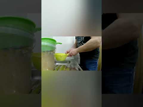 Видео: Декапсуляция и инкубация артемии для малявок