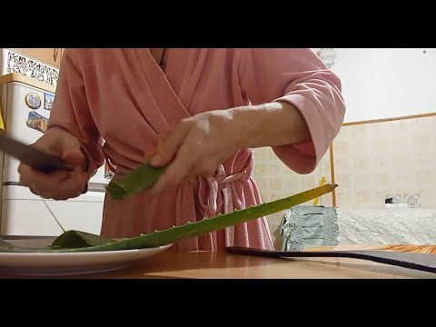 Видео: Приготовления столетника(алоэ)        от кашля