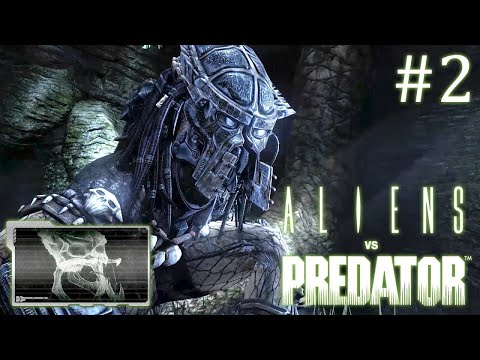 Видео: Aliens versus Predator 2010 // За хищника // Часть 2