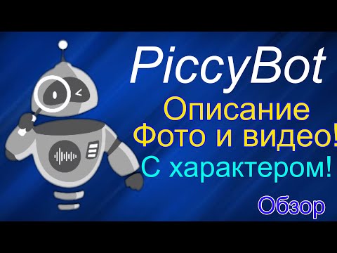 Видео: PiccyBot - описание  видео с характером