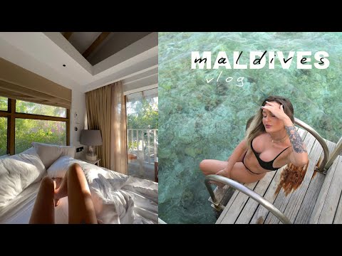 Видео: МАЛЬДИВЫ влог | Переезжаем, нереально красивые виды, румтуры 🌴💙