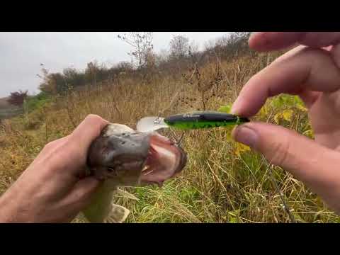 Видео: НОВЫЙ ВОДОЁМ И МЕЛКИЕ ЩУКИ😊