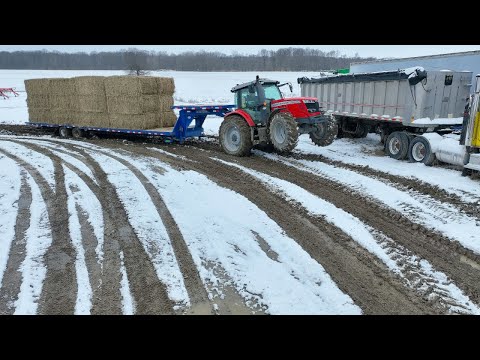 Видео: Тяга трактора на заднем дворе