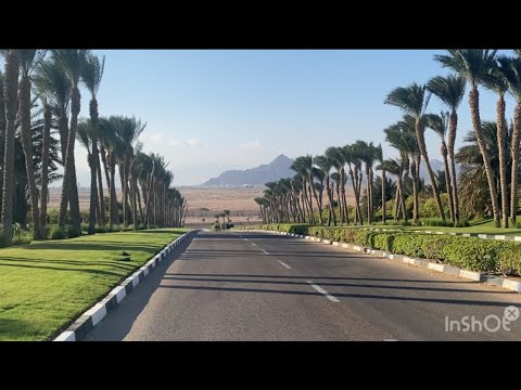 Видео: 🇾🇪ОТЕЛЬ МЕЧТЫ ⁉️БЮДЖЕТНО, но очень КРУТО /Первая линия Grand Oasis Resort Savoy group /Бухта Шаркс