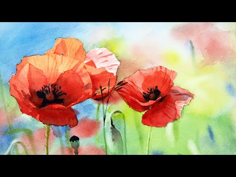 Видео: Акварельная живопись цветы мака