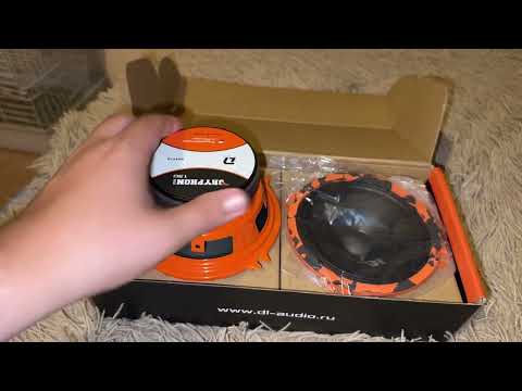 Видео: Обзор и прослушка одних из лучших 13х динамиков Dl Audio Gryphon Pro 130 