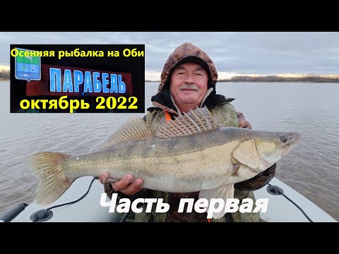 Видео: Парабель. Осенняя рыбалка на Оби. Октябрь 2022. Часть первая.