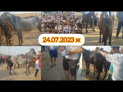 Видео: 24.07.2023 ж Сарыағаш мал базары. Құлындыбие,Тай,Құлын,Айғыр,Байтал,Құнан бағасы