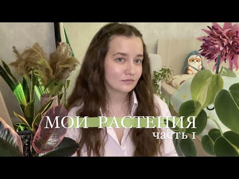 Видео: Обзор моих растений || 1 часть