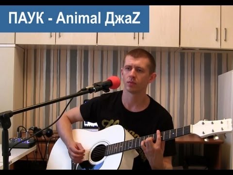 Видео: Паук - Animal Джаz (cover by TheSeriyVolk)