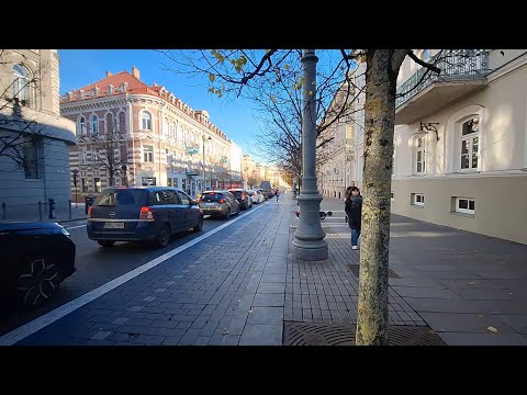 Видео: [Жизнь в Литве]А я иду шагаю по Вильнюсу шурша осеннею листвой