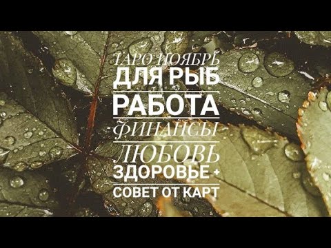 Видео: 🍁 ТАРО НОЯБРЬ ДЛЯ РЫБ🔥 РАБОТА👩‍💻 ФИНАНСЫ💰 ЛЮБОВЬ❤ ЗДОРОВЬЕ💪 + совет от карт🙏