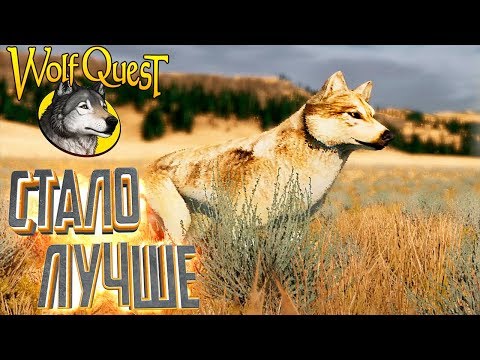 Видео: Улучшенный СИМУЛЯТОР ВОЛКА WolfQuest Anniversary Edition