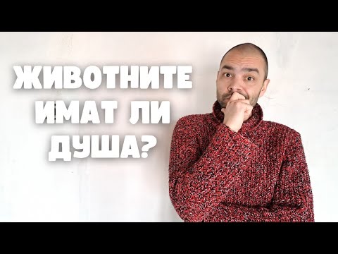 Видео: Къде отиват животните след като умрат? (Будистка мъдрост)