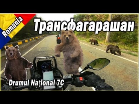 Видео: Уникален път и много Мечки на Трансфагарашан | Transfagarasan Romania 🏍️🐻🇷🇴