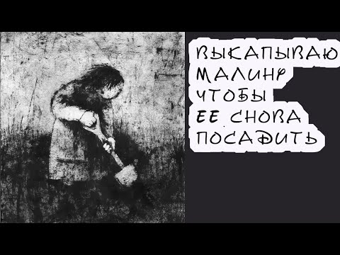 Видео: Как обновить посадки малины