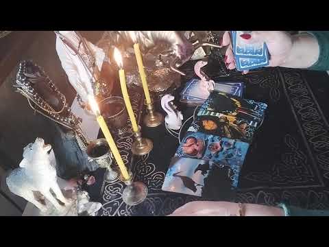 Видео: Какие тайные ритуалы готовит враг на Хеллоуин ,он же Самайн,он же Велесова ночь ! 