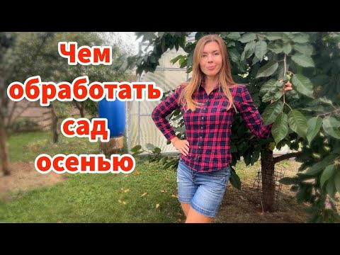 Видео: ЧЕМ ОБРАБОТАТЬ ПЛОДОВЫЕ ДЕРЕВЬЯ ОСЕНЬЮ ОТ БОЛЕЗНЕЙ И ВРЕДИТЕЛЕЙ