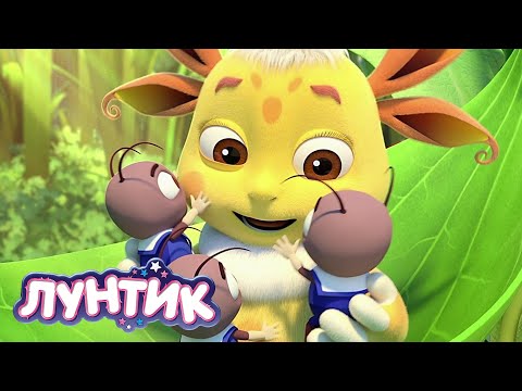 Видео: Лунтик | Потеряшки | Новая серия