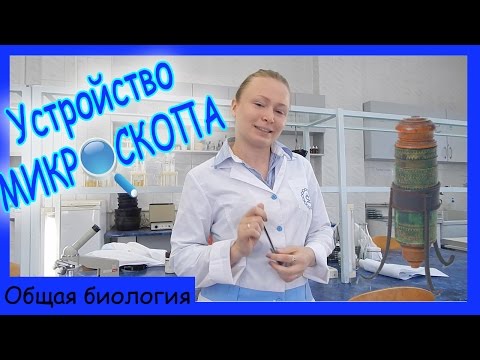 Видео: Строение микроскопа.