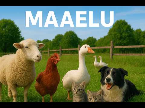 Видео: Влог 17 – Жизнь на хуторе / maale