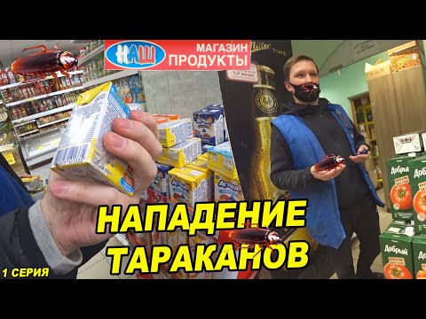 Видео: НАПАДЕНИЕ ТАРАКАНОВ / ВЫЗВАЛИ ПОЛИЦИЮ / БЕСПРЕДЕЛ В МАГАЗИНЕ