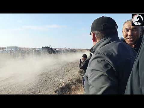 Видео: 12-ноябрь Канлыкол 2-болим